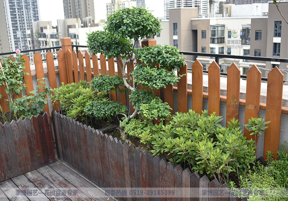 家博園藝｜世茂屋頂花園