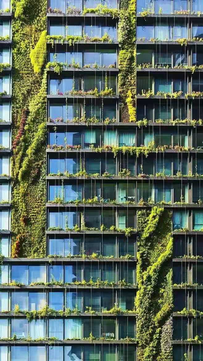 微信圖片_20201229102035