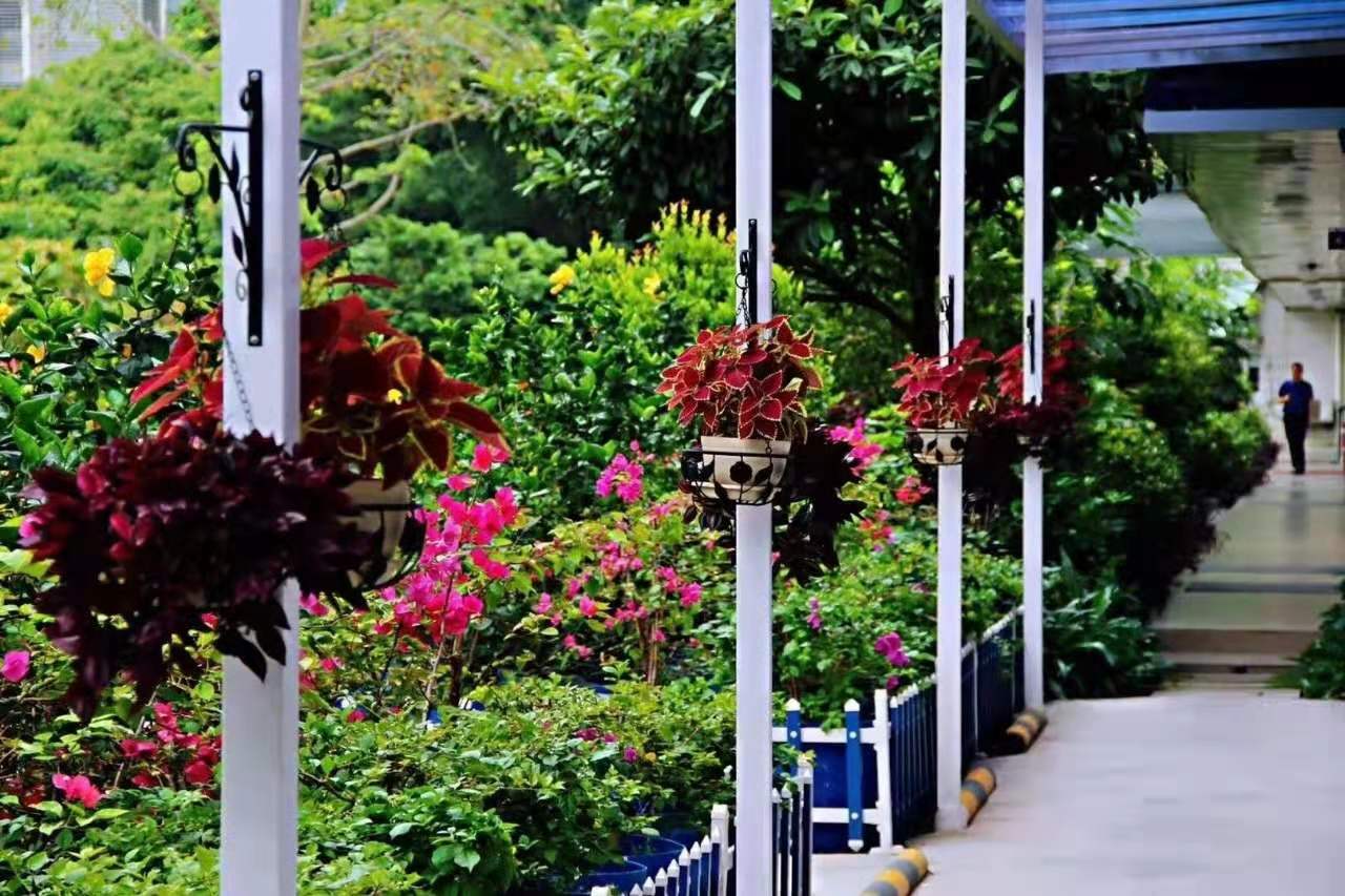 微信圖片_20201229102044