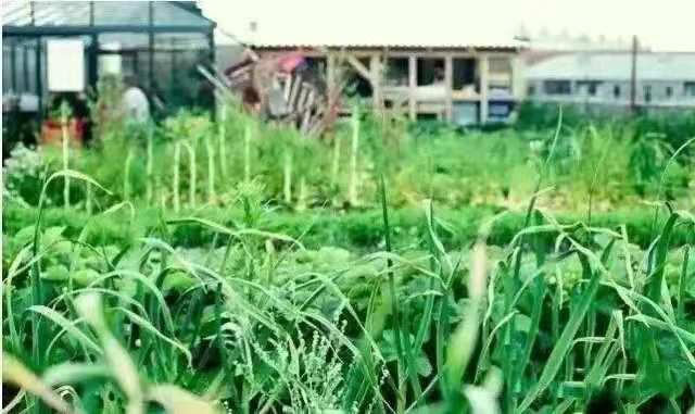 微信圖片_20201229142421