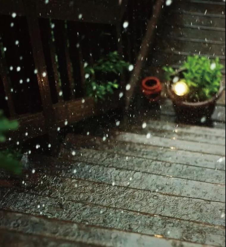 家博園藝｜要想生活過(guò)得去，庭院總得有點(diǎn)綠