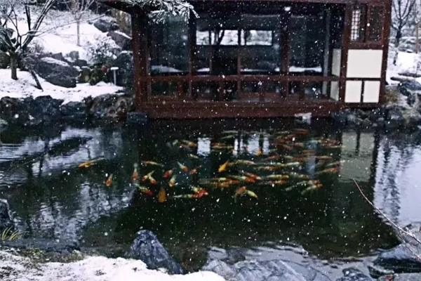 家博園藝｜知識(shí)和技能永遠(yuǎn)不會(huì)騙人~