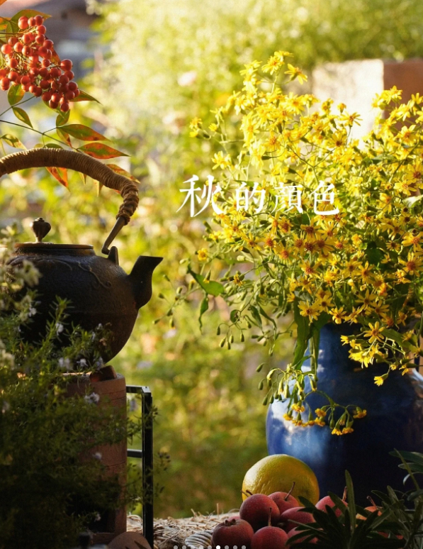 家博園藝｜淺秋，碎語，淺喜，深愛，遇見九月的庭院~